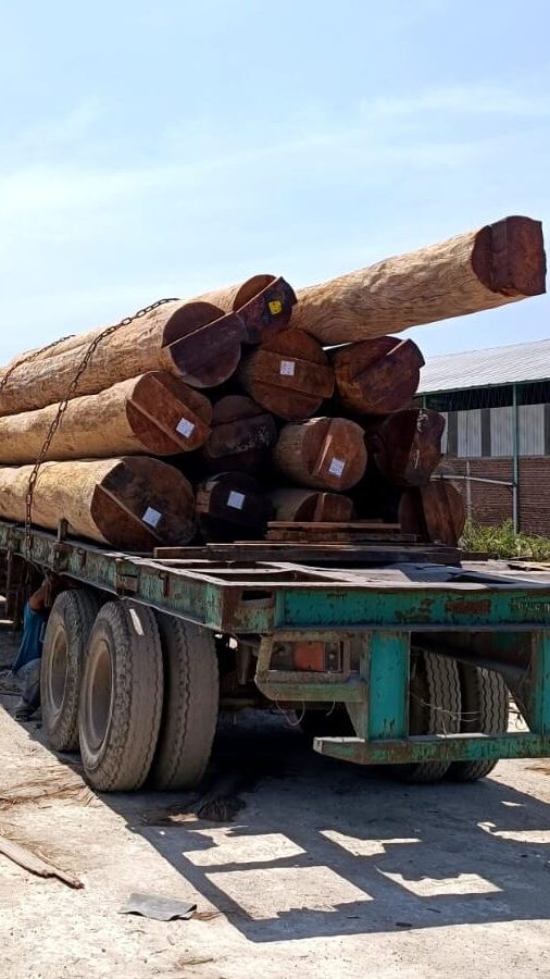 kayu bengkirai asli kalimantan dari gekaindo
