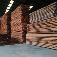 jual kayu kruing berkualitas