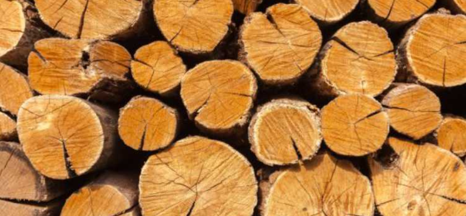 Log Kayu Bengkirai dan Merbau