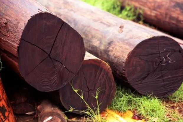 Log Kayu Ulin Berkualitas