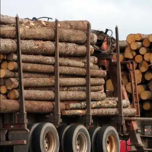 supplier kayu surabaya terpercaya